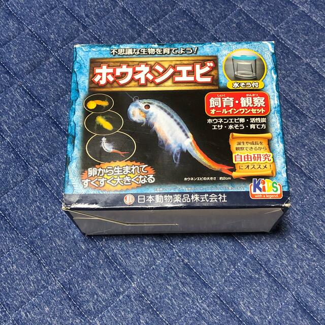 ニチドウ 飼育観察セット ホウネンエビ ニチドウホウネンエビ飼育観察セット