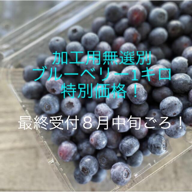無選別　加工用ブルーベリー1キロ（最終受付８月中旬頃まで） 食品/飲料/酒の食品(フルーツ)の商品写真