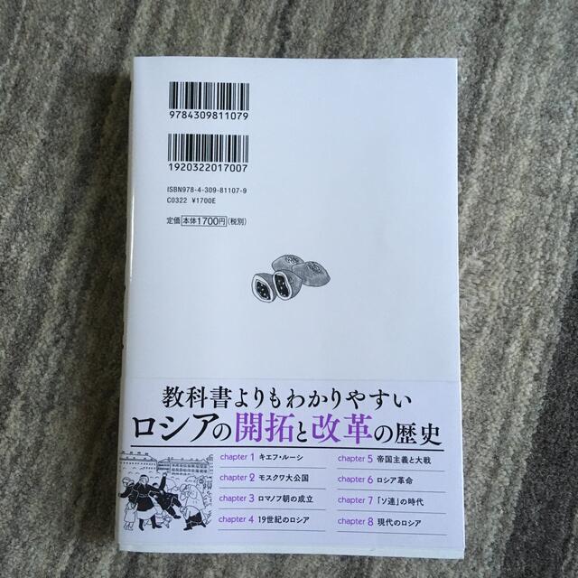 一冊でわかるロシア史 世界と日本がわかる国ぐにの歴史 エンタメ/ホビーの本(人文/社会)の商品写真