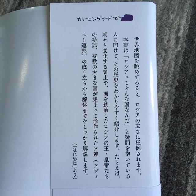 一冊でわかるロシア史 世界と日本がわかる国ぐにの歴史 エンタメ/ホビーの本(人文/社会)の商品写真