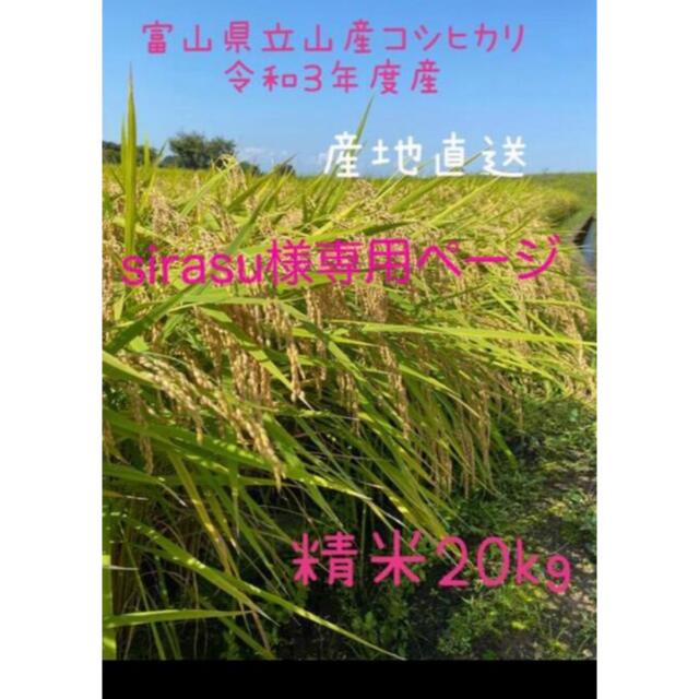 食品/飲料/酒sirasuさま専用　富山県立山産こしひかり　精米20kg