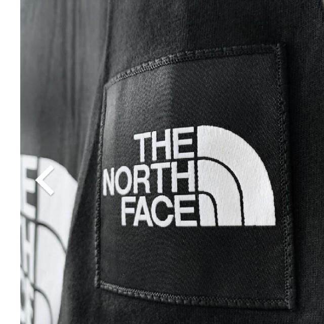 THE NORTH FACE(ザノースフェイス)の【新品】THE NORTH FACE　Tシャツ　海外限定 メンズのトップス(Tシャツ/カットソー(半袖/袖なし))の商品写真