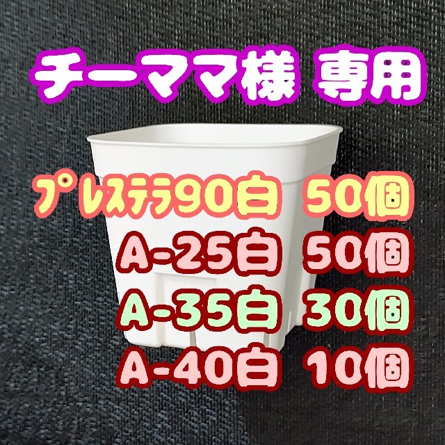 【スリット鉢】プレステラ90白50個 他 多肉植物 プラ鉢 ハンドメイドのフラワー/ガーデン(プランター)の商品写真