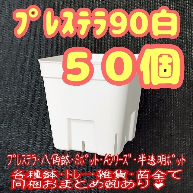 【スリット鉢】プレステラ90白50個 他 多肉植物 プラ鉢 ハンドメイドのフラワー/ガーデン(プランター)の商品写真