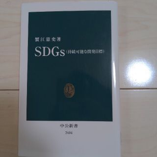 ＳＤＧｓ（持続可能な開発目標）(その他)