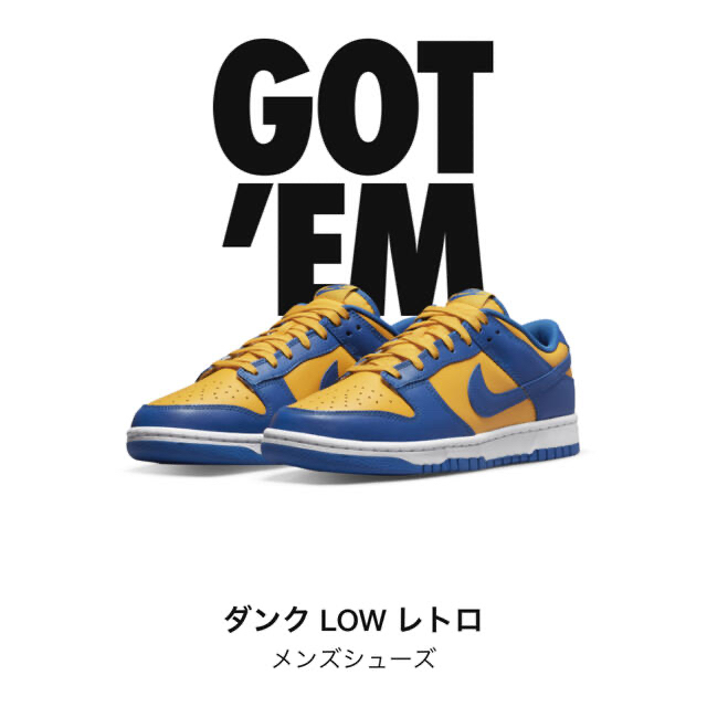 Nike DUNK low 28.5靴/シューズ