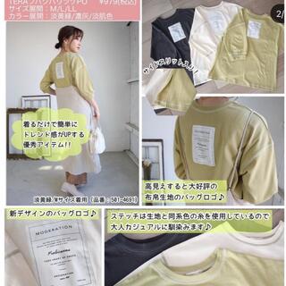 シマムラ(しまむら)のterawear emu LL トップス(Tシャツ(半袖/袖なし))