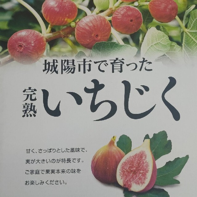 いちじく ドーフィン京都産２セット箱8パック 食品/飲料/酒の食品(フルーツ)の商品写真