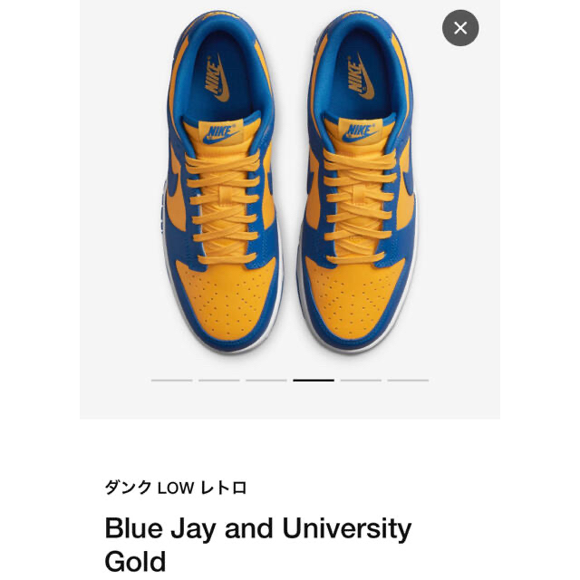 NIKE Dunk Low University Blue ダンク 25CM