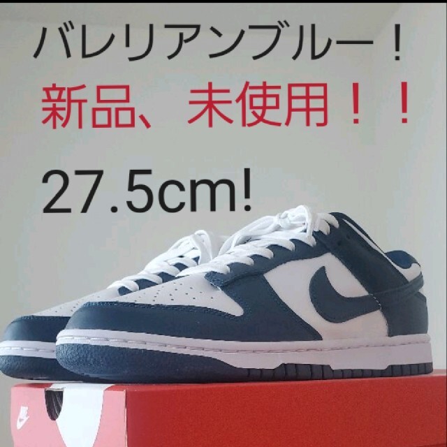 ダンク　バレリアンブルー 29.0㎝