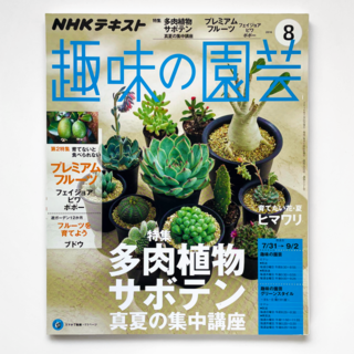 【2冊で100円引き】NHK趣味の園芸 多肉植物 サボテン 2016年8月号(趣味/スポーツ)