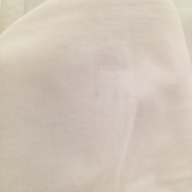 SUPREME シュプリーム 21AW ×ジュンヤワタナベ コムデギャルソンマン ナチュラルティー フォトプリント半袖Tシャツ ホワイト