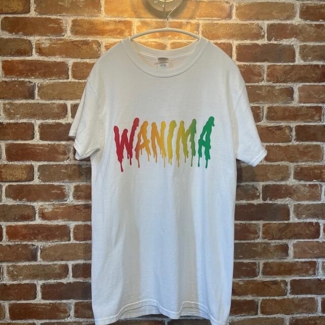 WANIMA(ワニマ)の【おまけ付き】WANIMA ONE CHANCE POSSE Tシャツ S レディースのトップス(Tシャツ(半袖/袖なし))の商品写真