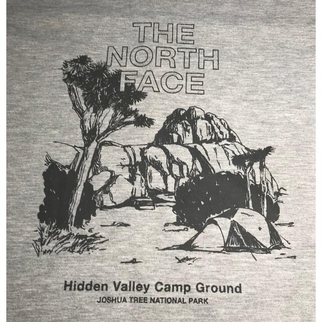 THE NORTH FACE(ザノースフェイス)の【レア】ザ・ノースフェイス メンズショートスリーブビューポイントティー メンズのトップス(Tシャツ/カットソー(半袖/袖なし))の商品写真