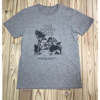 ザノースフェイス(THE NORTH FACE)の【レア】ザ・ノースフェイス メンズショートスリーブビューポイントティー(Tシャツ/カットソー(半袖/袖なし))