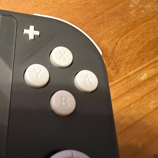 Nintendo Switch(ニンテンドースイッチ)の任天堂Switch ライト エンタメ/ホビーのゲームソフト/ゲーム機本体(家庭用ゲーム機本体)の商品写真