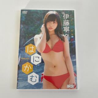 伊藤寧々　はにかむ DVD(アイドル)