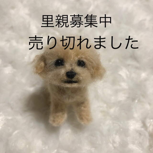 直売割 羊毛フェルト マルプー ぬいぐるみ/人形 - companysetup-dubai.com