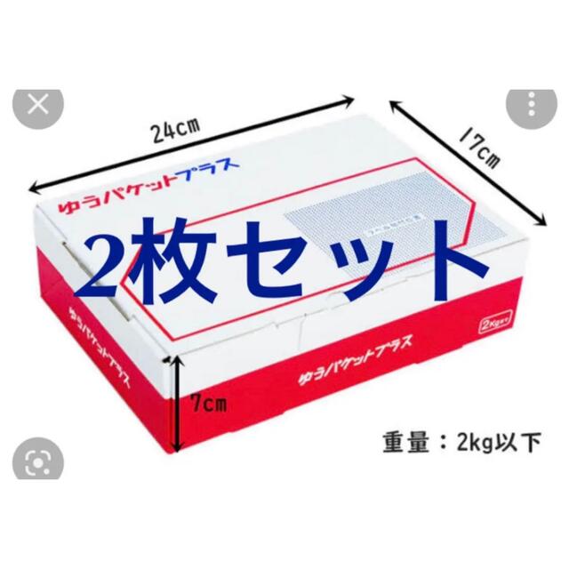 まとめ)長門屋商店 目録 細く 大 ポリ袋入 ユ-090(×50セット) まとめ)長門屋商店 目録 細く 大 ポリ袋入 ユ-090(×50セット)