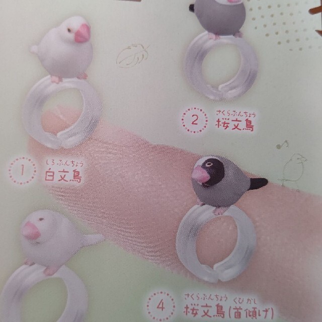 指のり文鳥 エンタメ/ホビーのフィギュア(その他)の商品写真