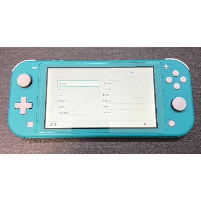 ゲームジャンク(189) 動作確認済 Switch Lite ライト ターコイズ