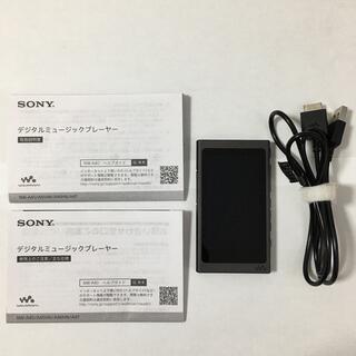 ソニー ウォークマン 32GB NW-A46HN L