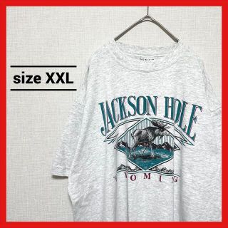 90s 古着 ノーブランド Tシャツ ジャクソンホール オーバーサイズ XXL (Tシャツ/カットソー(半袖/袖なし))