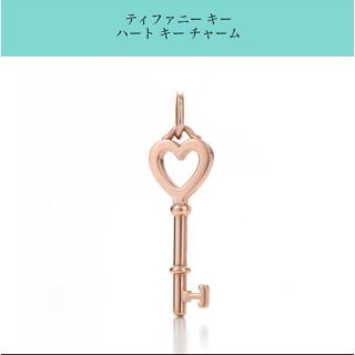 ティファニー(Tiffany & Co.)の【正規品】TIFFANY&CO. ネックレス(ネックレス)