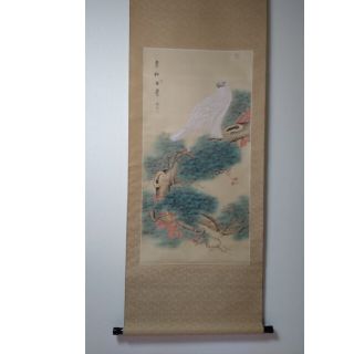 真作】掛軸 丸尾玉琳『老松に鷹之図』紙本 共箱付 掛け軸 a100816