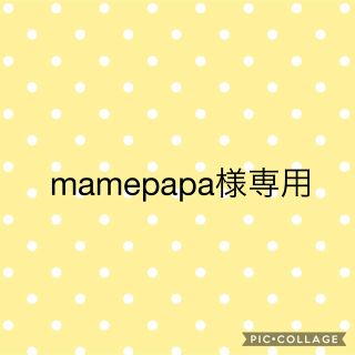 mamepapa様専用(あみぐるみ)