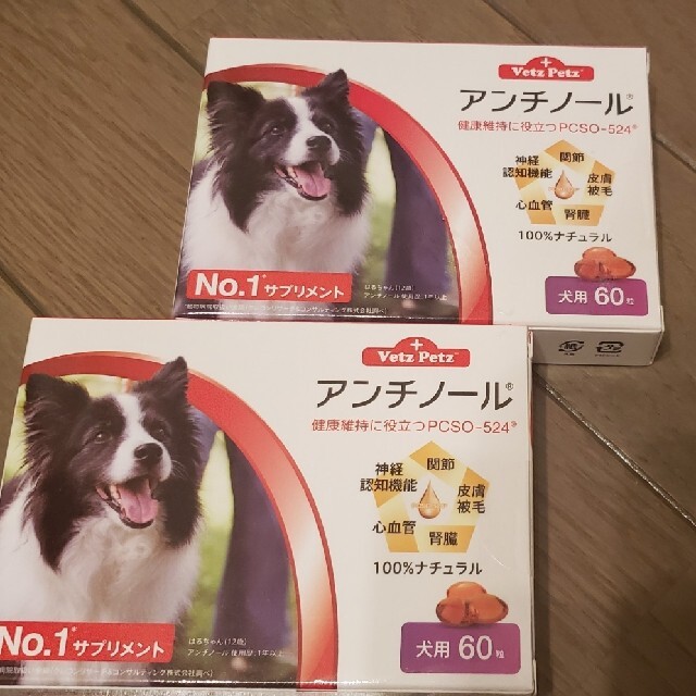 アンチノール60粒2箱 - 犬