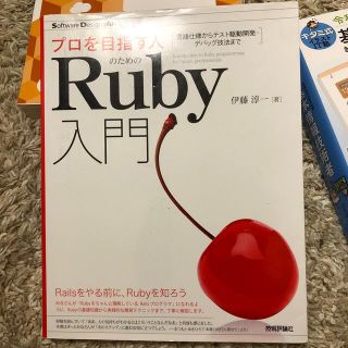 プロを目指す人のためのＲｕｂｙ入門 言語仕様からテスト駆動開発・デバッグ技法まで(コンピュータ/IT)