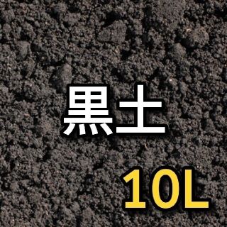 黒土(黒ボク土) 約10L(その他)