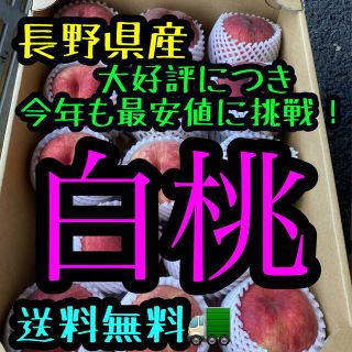 1.5kg〜６玉入　送料無料　家庭用白桃　桃(フルーツ)