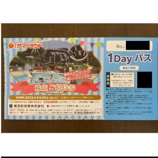 1枚 東京サマーランド 株主優待券 1dayパス(遊園地/テーマパーク)