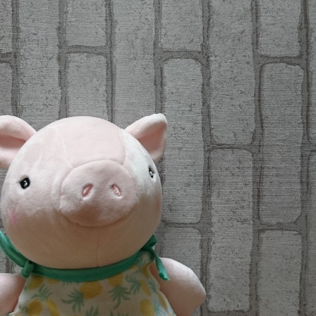 ちょこたん様専用(デニムセット) アウトレット大特価 レディース