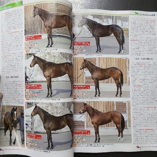 週刊ギャロップ臨時増刊POG　重賞年鑑2021    2冊セット エンタメ/ホビーの本(趣味/スポーツ/実用)の商品写真