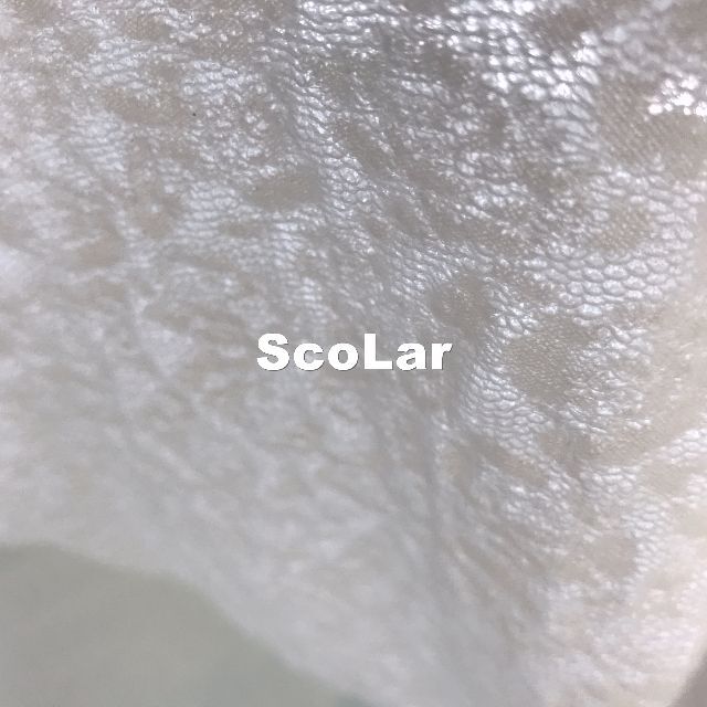 ScoLar(スカラー)の【ScoLar】水彩 スカラーちゃん 総透かし柄 ペーパータッチ カットソー レディースのトップス(カットソー(半袖/袖なし))の商品写真