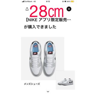 ナイキ(NIKE)のdunk low ダンクロー SE ロッタリー グレーフォグ　(スニーカー)