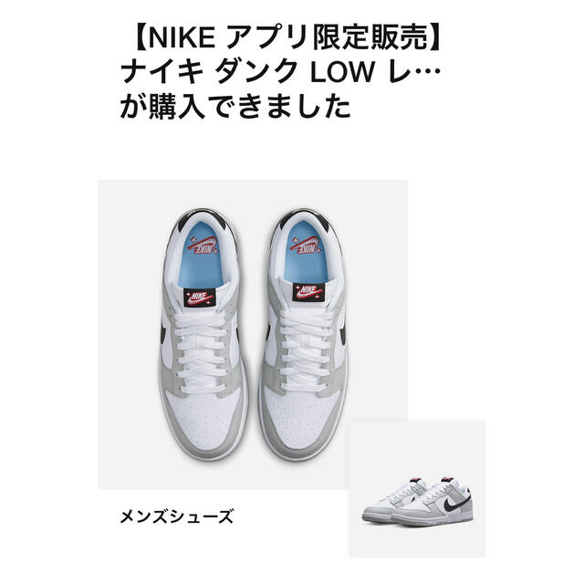 NIKE(ナイキ)のナイキ ダンク ロー SE "ロッタリー" グレーフォグ　28.0cm メンズの靴/シューズ(スニーカー)の商品写真