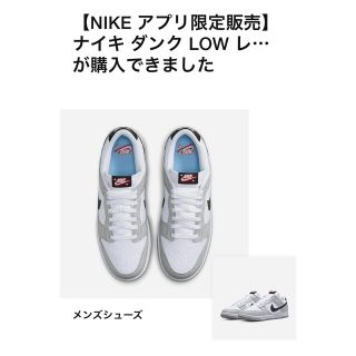 ナイキ(NIKE)のナイキ ダンク ロー SE "ロッタリー" グレーフォグ　28.0cm(スニーカー)