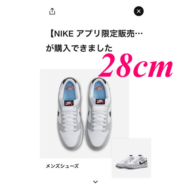 Nike Dunk Low SE Lottery ナイキ ダンク ロー