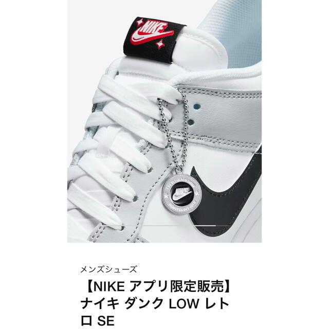 NIKE(ナイキ)のNike Dunk Low SE Lottery ナイキ ダンク ロー メンズの靴/シューズ(スニーカー)の商品写真