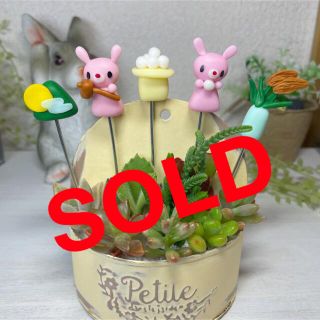 ハンドメイド　ガーデンピック　お月見ピック　多肉植物(その他)