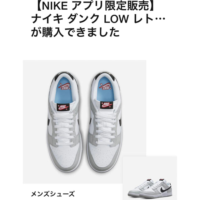 NIKE(ナイキ)のNIKE DUNK LOW RETRO SE 27.5cm メンズの靴/シューズ(スニーカー)の商品写真