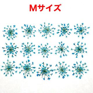 【15枚】レースフラワーの押し花（ブルー）(ドライフラワー)