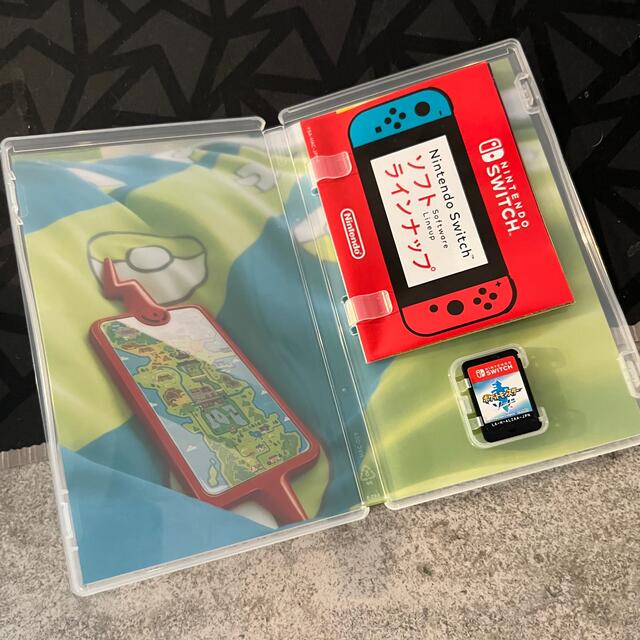 Nintendo Switch(ニンテンドースイッチ)の任天堂switch ポケットモンスター　ソード エンタメ/ホビーのゲームソフト/ゲーム機本体(家庭用ゲームソフト)の商品写真