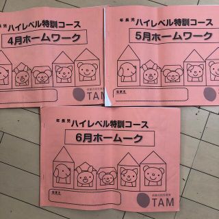 未記入　TAM ハイレベルクラス　ホームワーク　全91ページセット(語学/参考書)