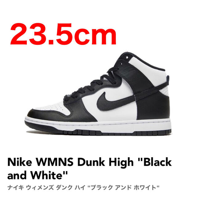 NIKE(ナイキ)のDunk Hi レディースの靴/シューズ(スニーカー)の商品写真