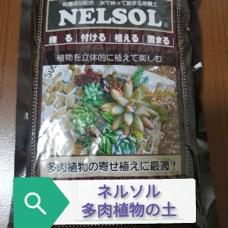 ネルソル多肉植物寄せ植え用の土(その他)